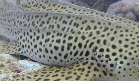 0e986ae3-2ee3-4636-93a6-4aa15d0eac54