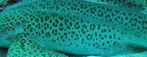 6c6ce349-9777-4c57-b1f0-4f8a512a711e