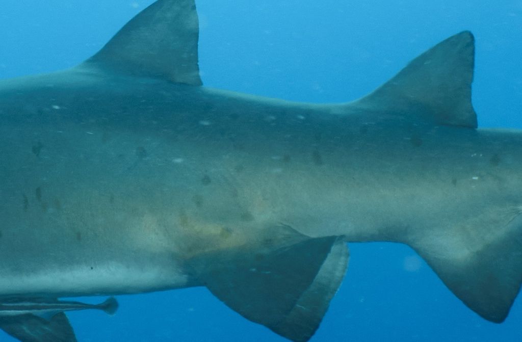 e8f4af52-bf07-42ae-b249-9ba05c0d6b36