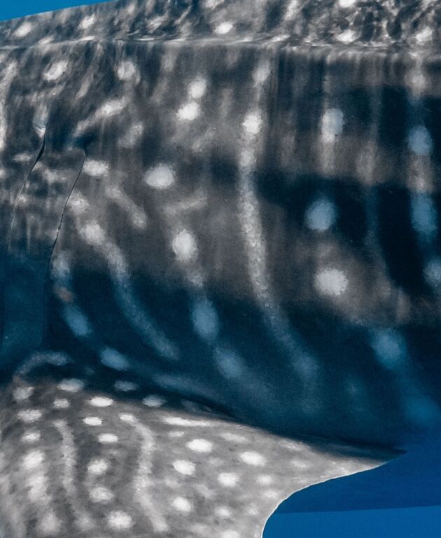 af24b216-4fd2-4f95-bf76-7d575d3b51f7