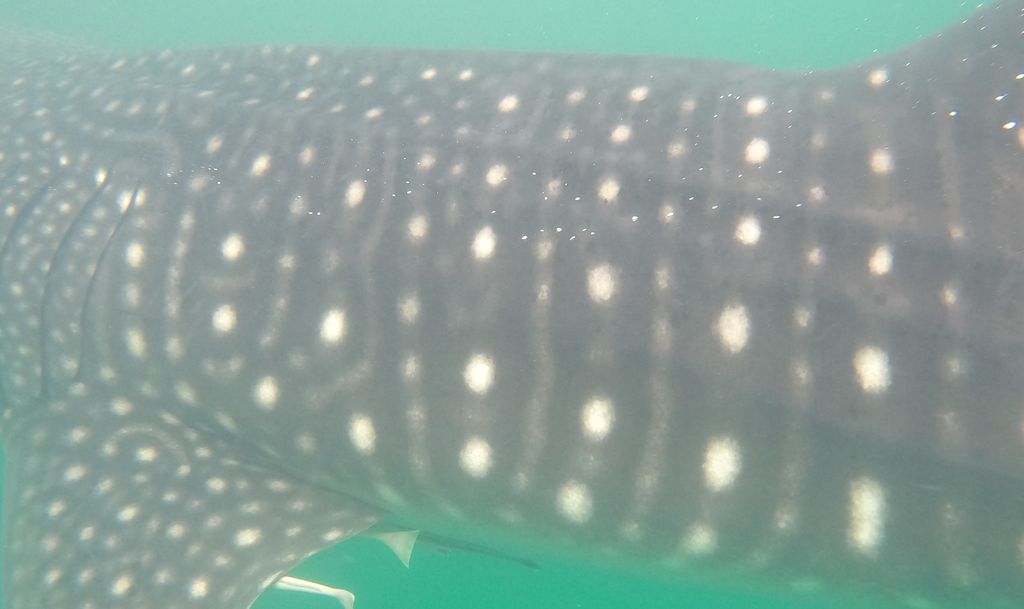 ce895e95-1d67-4978-9ed6-6c8c8db483f9