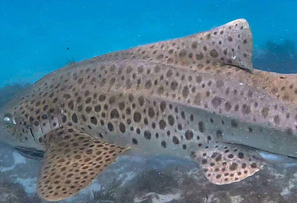 75c7db4b-f9cb-40e9-afeb-396ce1a42bdf