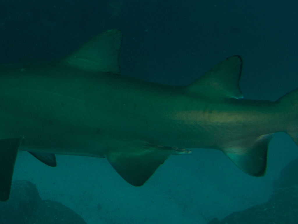 8794749d-5f98-4846-8f1c-30f7d83561c3