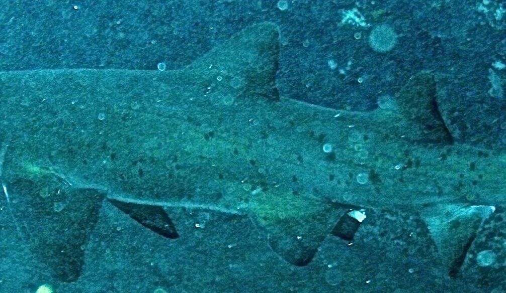 c3e8f737-751d-4afd-8fca-86c69d05ecb2