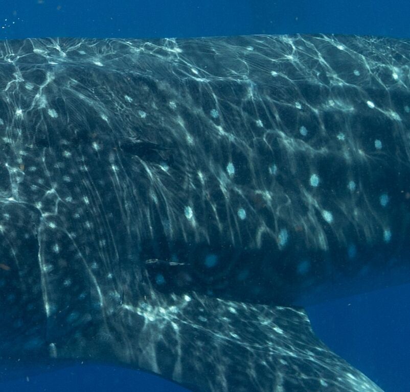 12452ad6-eb18-4b13-88cd-e97da5f4c2ef