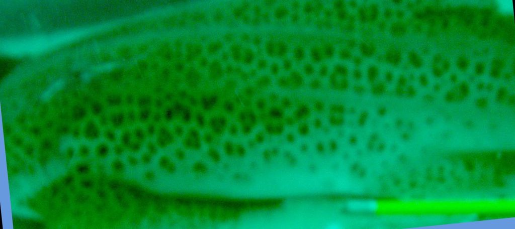 515de7e9-90dc-41e8-8402-a7749fbfcc47