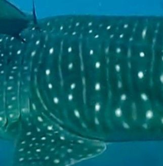 2af1c6da-9579-41a1-90e9-6ea9b3412419