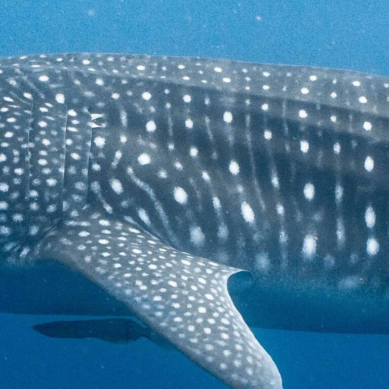 33b153cd-d5bc-4a6c-97a4-021bc8c2da9f