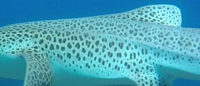 68b485ac-80be-4b72-ade5-7af7598294d1