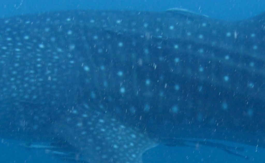 15fd77c6-1003-41b2-b63d-c720da9878a2