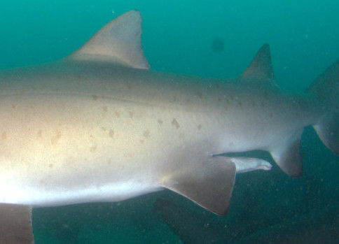 d793c608-eeb0-4d34-883c-fe54b704bb00