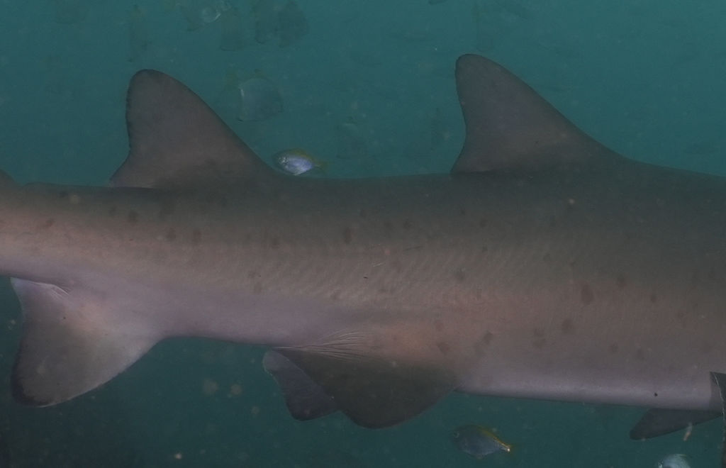 a150ab08-0f3d-47ec-b418-4db3e2a836e9