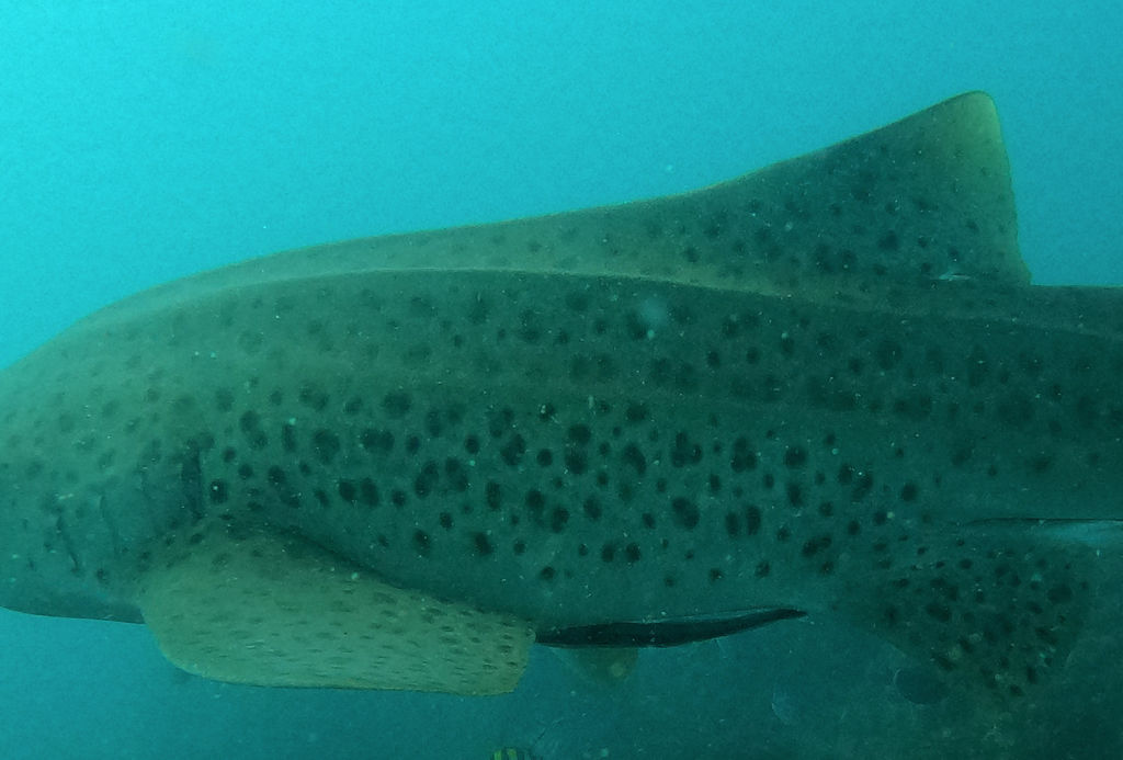 857bd346-5894-4420-b6de-5a64a11a324b