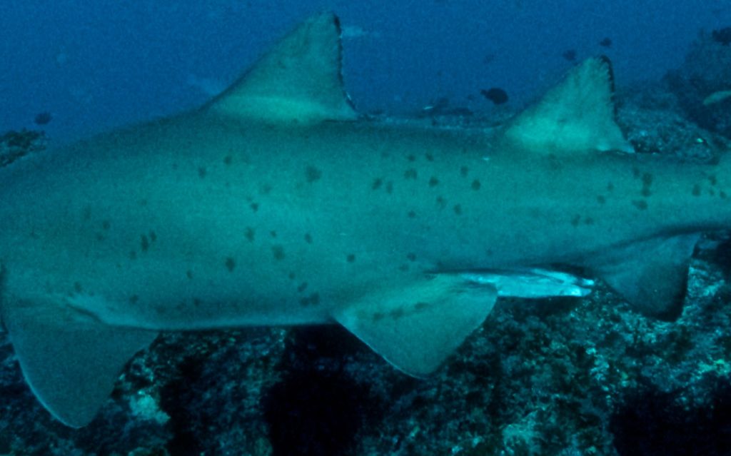 361656bd-69bf-44c5-bd4d-2a5a57c5529c