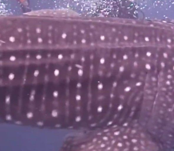 d6b98405-b013-4108-a245-0337fea620af