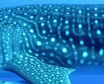 740c8be9-8d3b-4157-8a6d-25a9e418d741