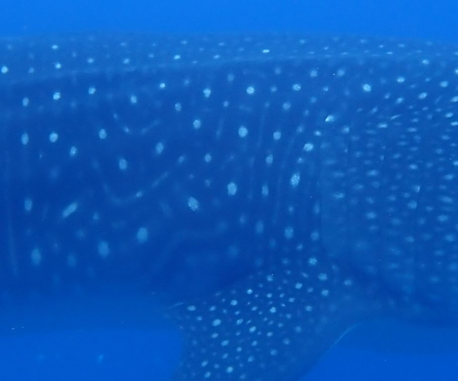 b37189f2-f0a4-48e5-9d24-50074a772839