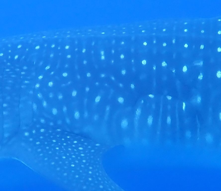 b37189f2-f0a4-48e5-9d24-50074a772839