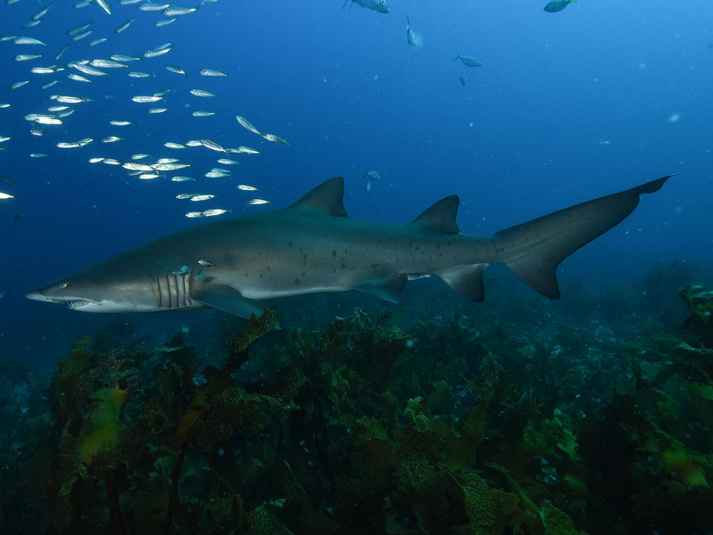 d0f7540e-1e39-492e-af0f-b9730daa0ecc