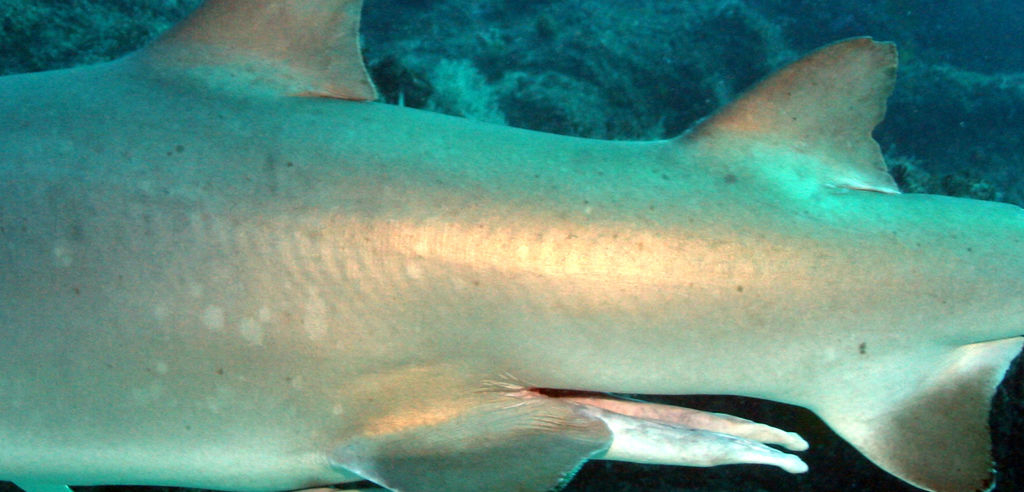 deece9a3-b33e-49b6-8c24-b06bd439e53d