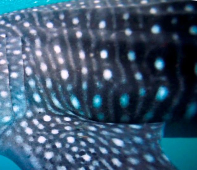 4cd2c91a-d346-40db-b1b3-a5414819949c