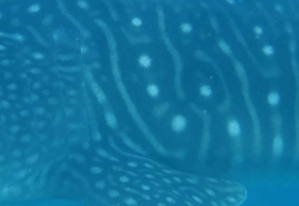 5ab9e7f8-5ee8-4aa1-a5c4-18bb46e635a5