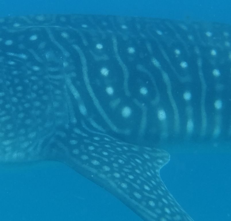 5ab9e7f8-5ee8-4aa1-a5c4-18bb46e635a5