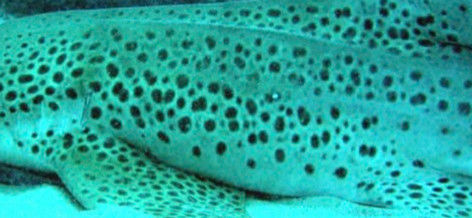 734ab117-4a63-4fe9-b87e-32f72312993e