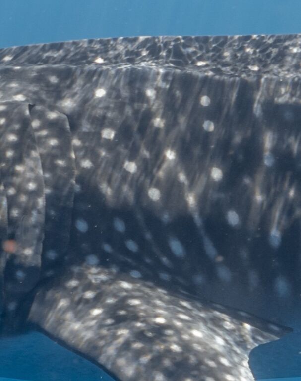 77fd0c85-3d76-4fb4-98d7-87a94f04cffc