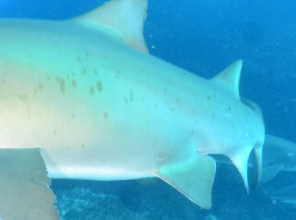 1a47b649-5919-482f-9ca0-8e09ba2ff877