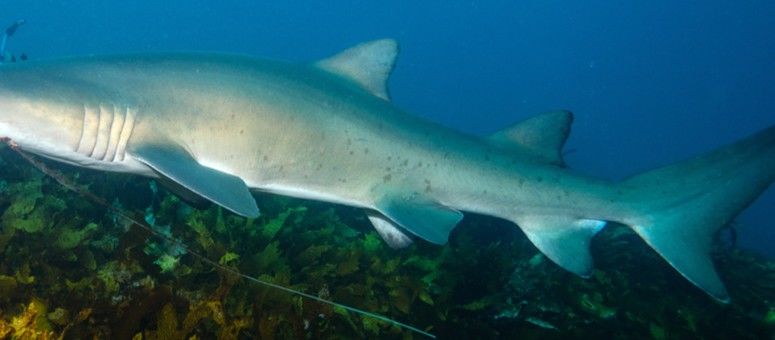 a37e9c9a-8927-43a1-8c6c-542e8bf8138f