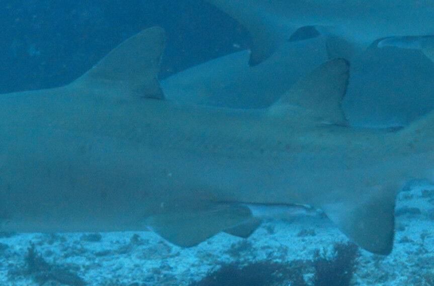 18102fec-d9a3-438f-8bb8-abdf996a38f9