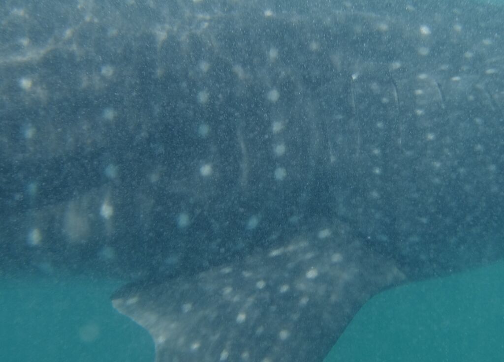 1c2bff9f-04f5-49f6-8b1f-ecfe5541c6cd