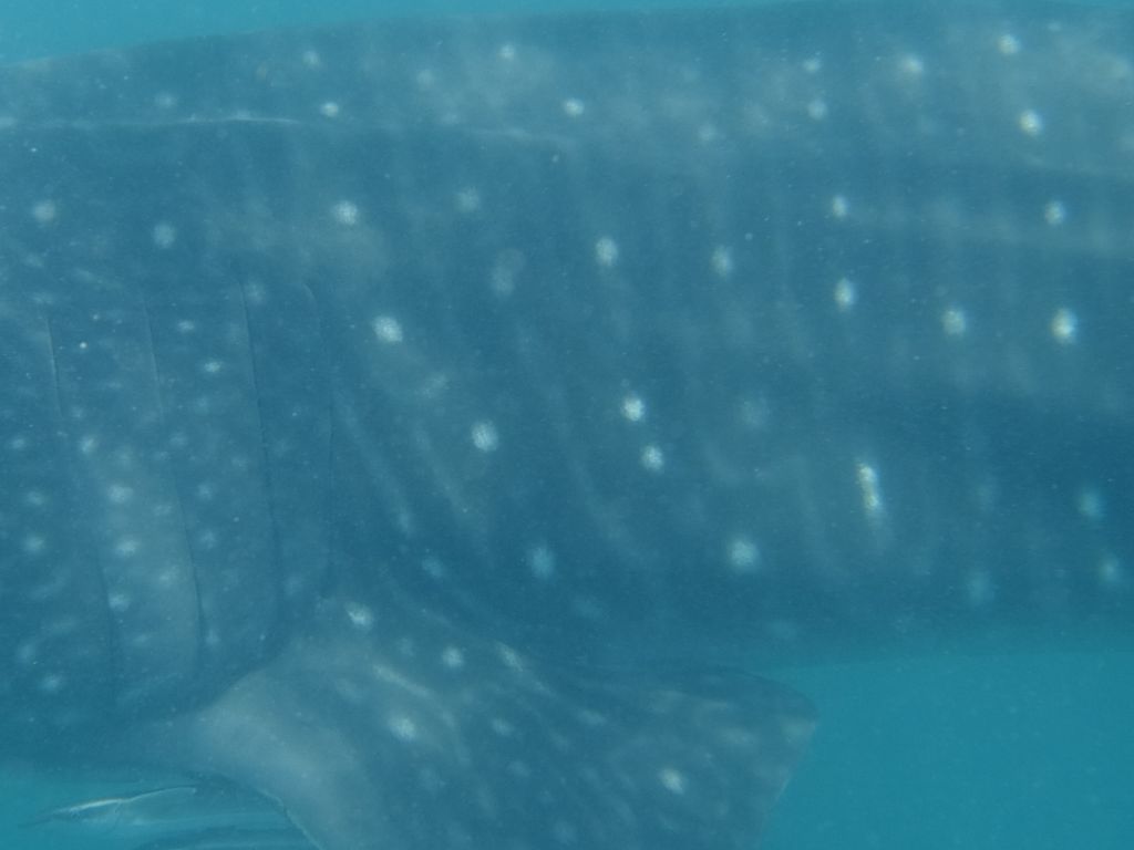 1c2bff9f-04f5-49f6-8b1f-ecfe5541c6cd