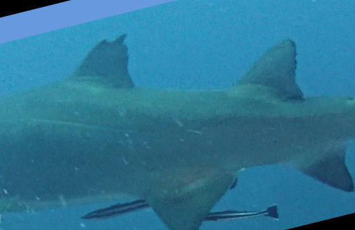 27ee1bf8-e2db-4e3d-ad14-2d82d4387583