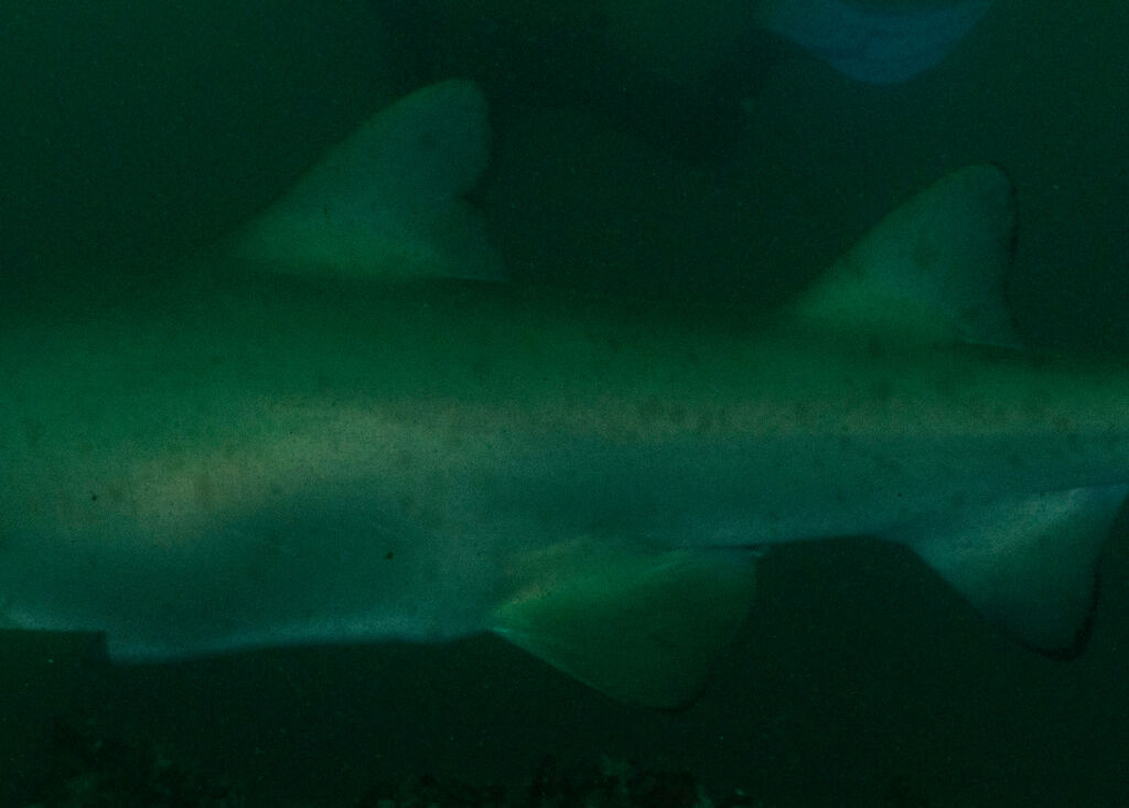 a27df3b2-bba3-4fd3-9579-42be446838a6