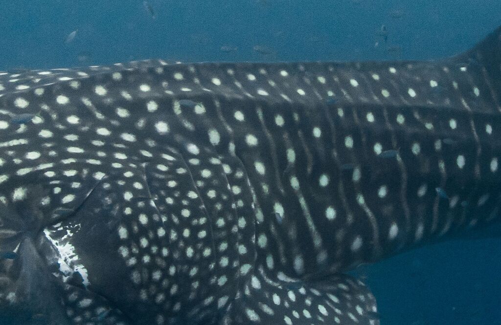 66822774-c746-4a04-bdd6-826048bd4c0b