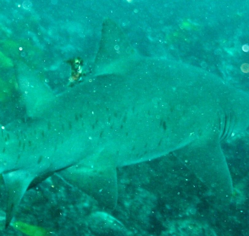 f5cbfc91-3903-457e-b421-c4a3c3d859b7