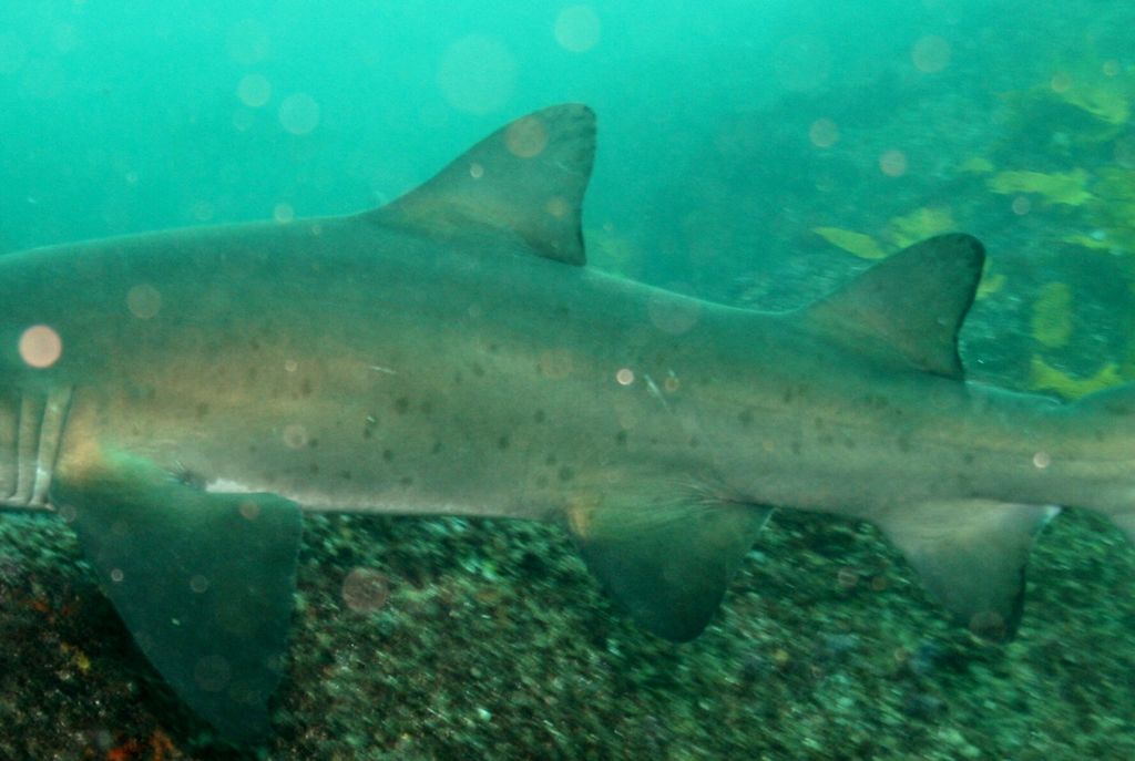 f5cbfc91-3903-457e-b421-c4a3c3d859b7