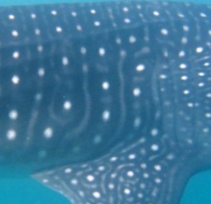 5136bb25-8c0d-4c11-8ecd-71934a606d68