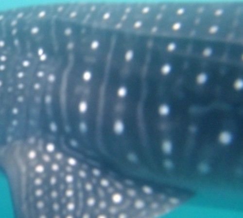 5136bb25-8c0d-4c11-8ecd-71934a606d68