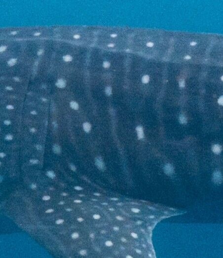 e125a2a5-c1ad-4d38-975f-782982be3730