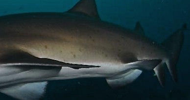 62867bda-d48a-48a8-a3c3-6b9902ffdbff