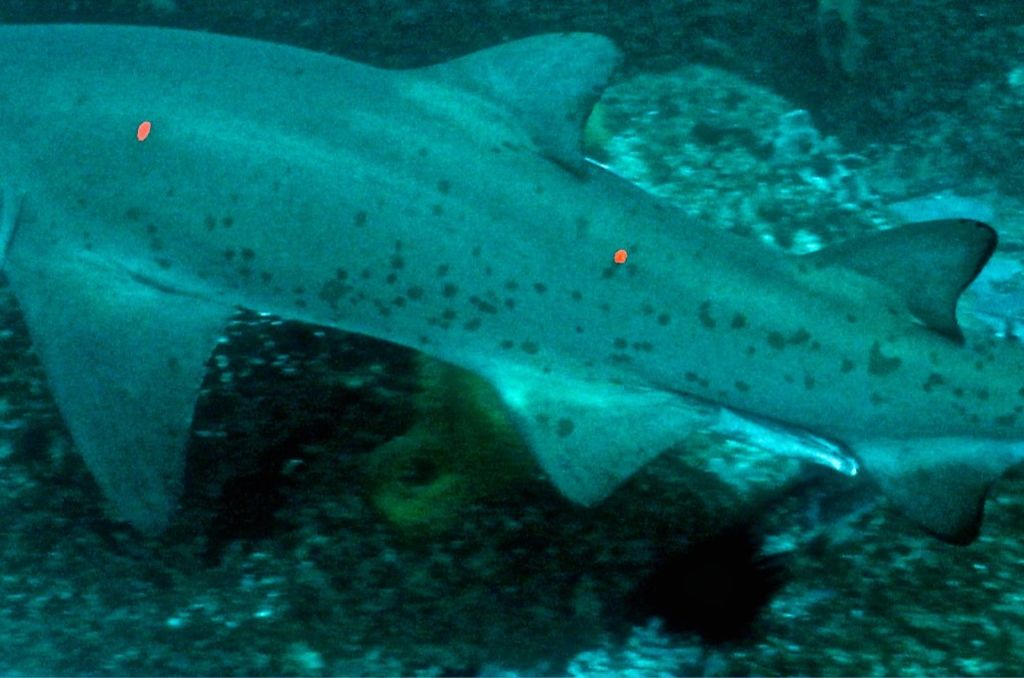 2ba4f2c8-9408-4ea8-8a73-bc993dd65eaa