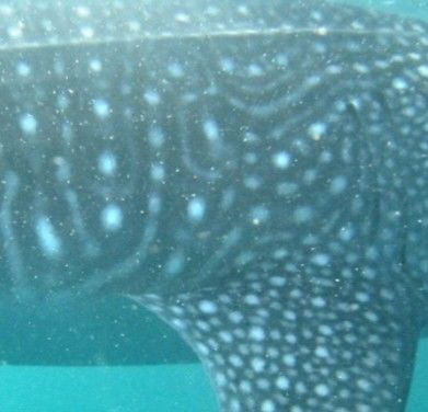 253defa4-6320-43d3-90b6-a1be95acc1f4