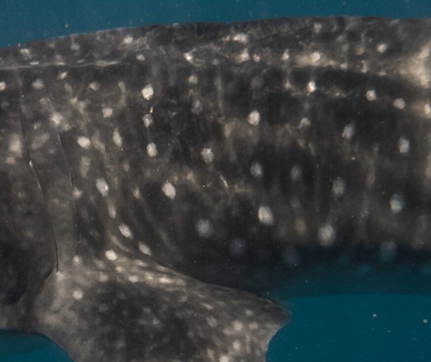 8d78e75a-ae7c-4a3c-a546-59ea210649c0