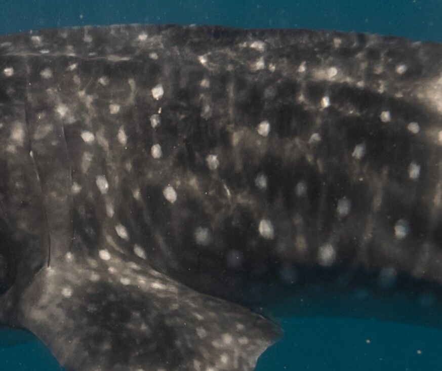 8d78e75a-ae7c-4a3c-a546-59ea210649c0