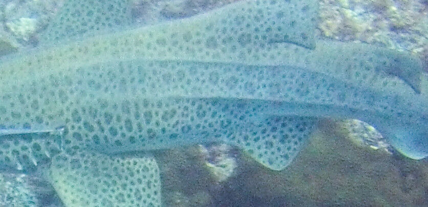 3a2751bc-ea70-4b83-b739-0ea300e7d27e