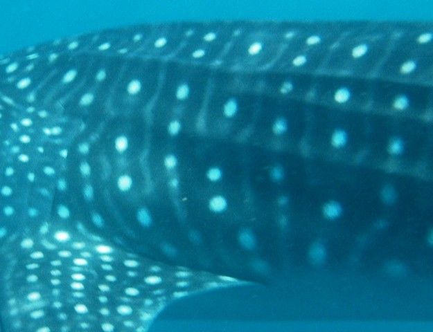 56467ced-ac27-4aca-b7fc-bb0ebc0a469c