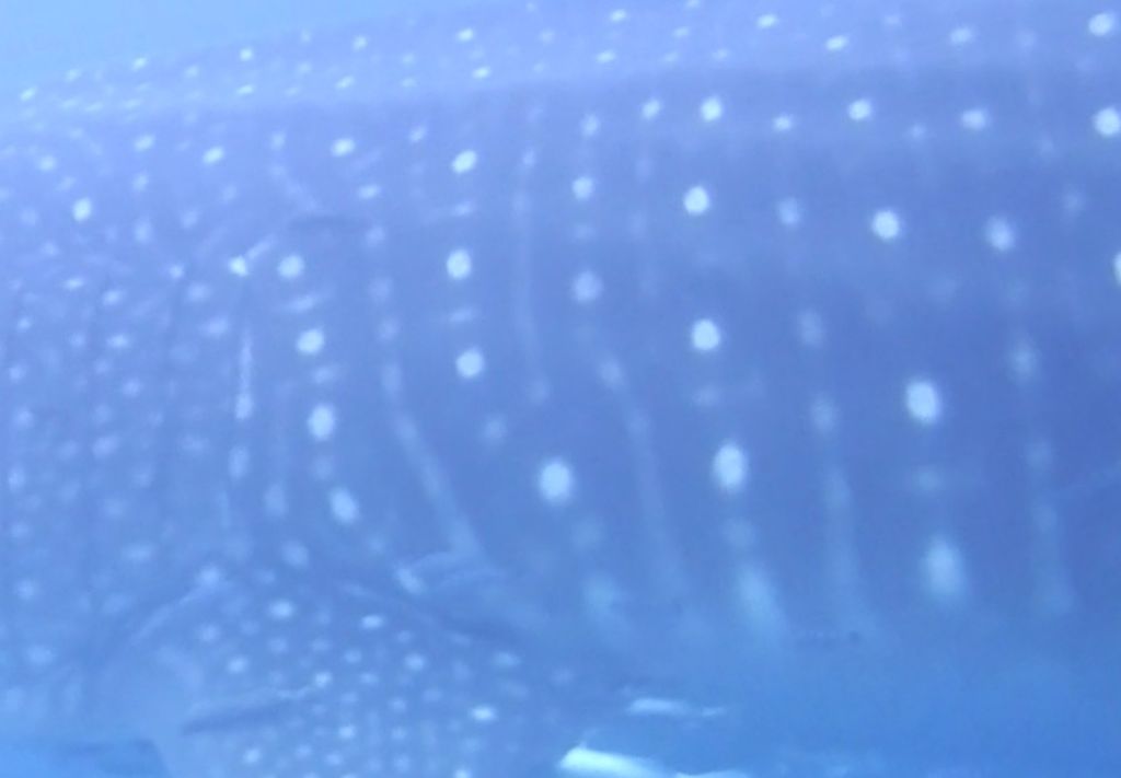 9a37afaa-1874-4674-8835-d0d4db7b80bc